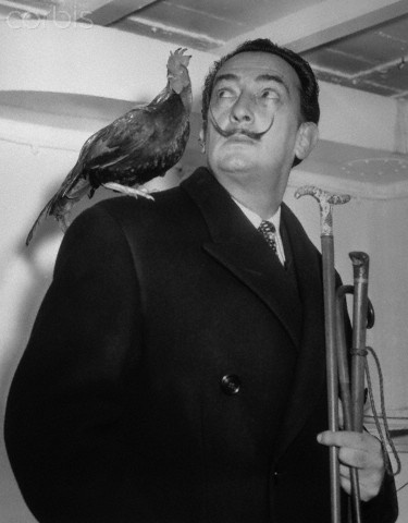 9cd3fa6b229106403aa44ddf19870d43