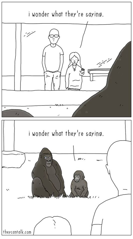 12346487_534256793408144_6048521214414523343_n