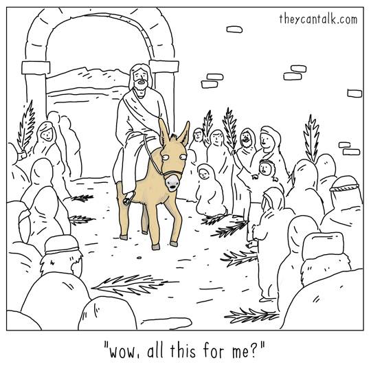 12494924_573868222780334_6931762316874849076_n