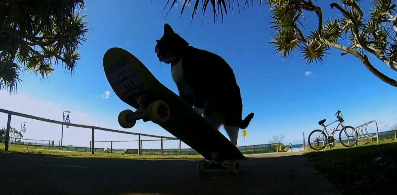 13403111_580093858828157_1128812774160002646_o