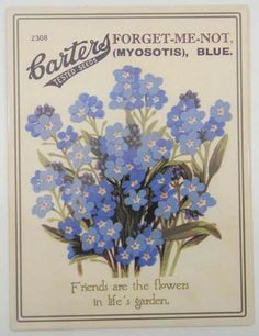 6d6f2de285276d161d034cd3d8384607