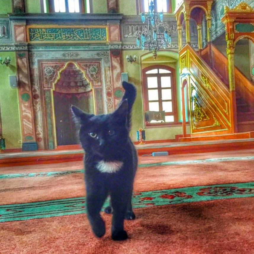 αρχείο λήψης