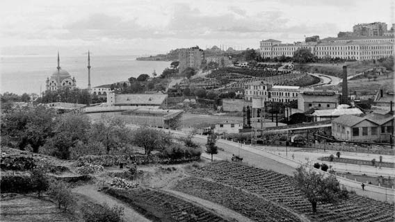 Η ανατομία ενός εγκλήματος και η θιγμένη ανατομία ενός&nbsp;πτώματος