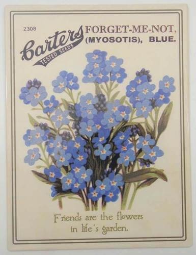 Κράνη, μυοσωτίδες, άνθη των&nbsp;τάφων