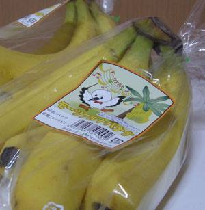 13879431_10210367897893441_5581024313906812221_n