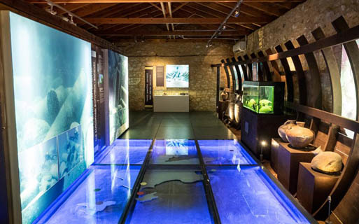 Κάστρο των θησαυρών της θάλασσας