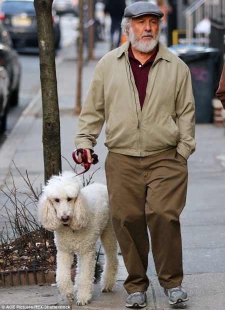 He looks ruff Dustin Hoffman sported a bushy beard as he walked a dog on the set of The Meyerowitz Stories