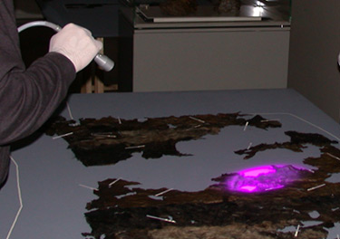 oetzi_ein_blick_in_die_forschung