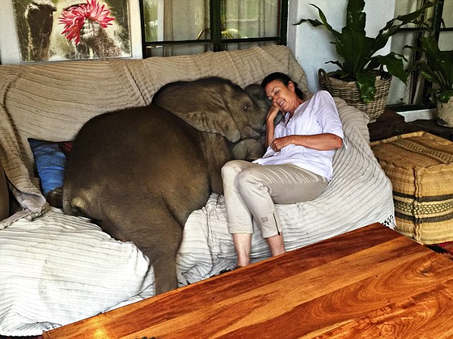 Ας μιλήσουμε για τον ελέφαντα στο&nbsp;σαλόνι