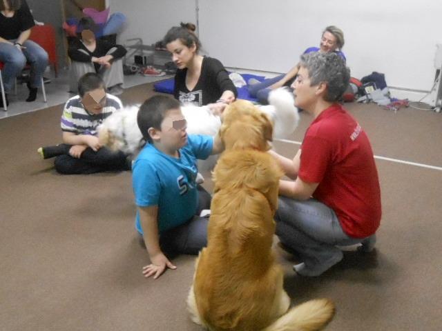 14686094_1150153698375335_932367400_n