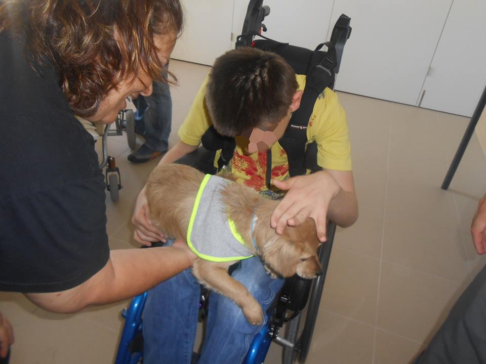 14741590_1150155408375164_1463058553_n