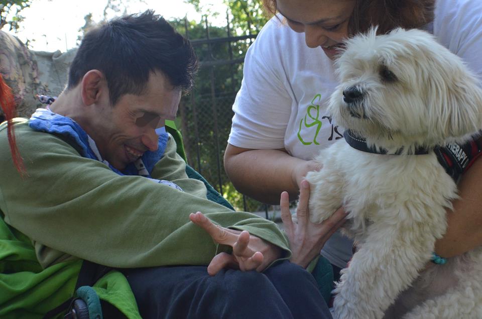 14741752_1150149981709040_363273944_n