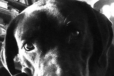 Η Άμπι και η συγγραφική διαδικασία