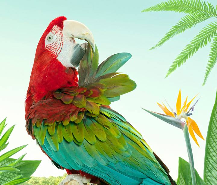 10659349_854570101250199_2733046030701582984_n