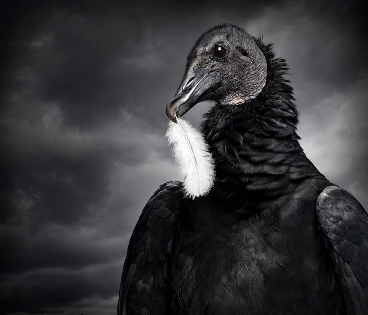 12096497_1074288522611688_8713982571129157591_n