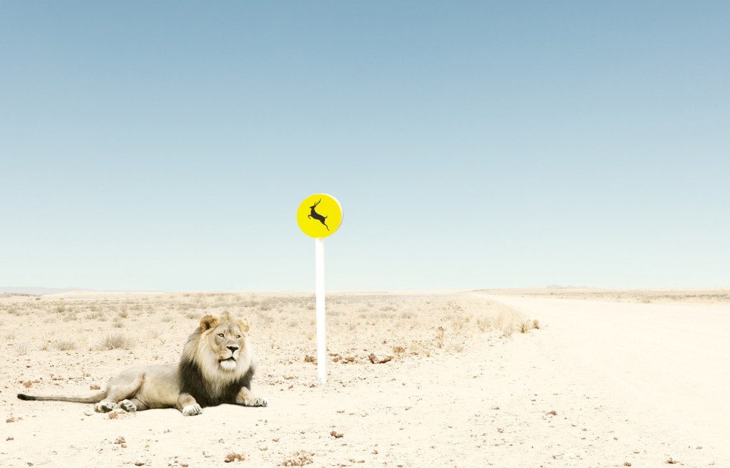 Η λεπτή ειρωνεία της άγριας&nbsp;ζωής