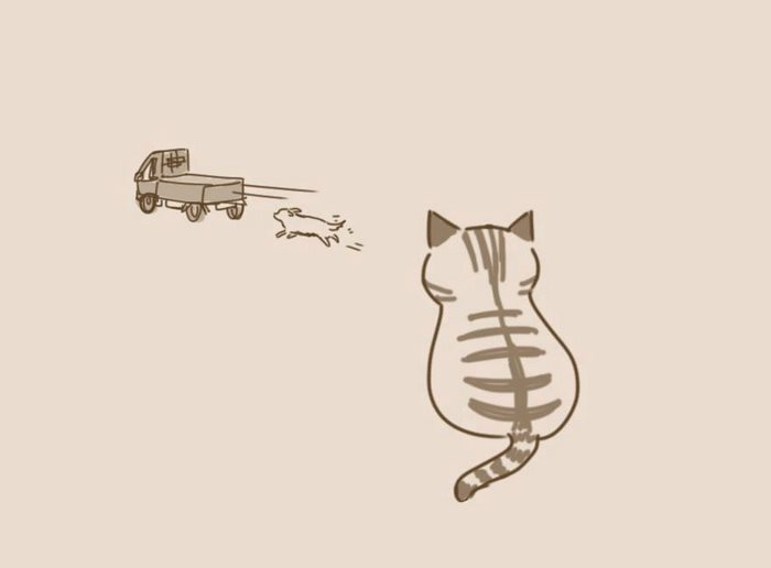 animal-friends-cat-dog-comics-lynal-18