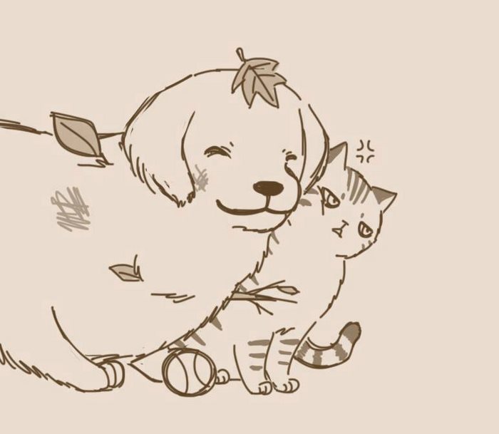 Γατίσια αγάπη