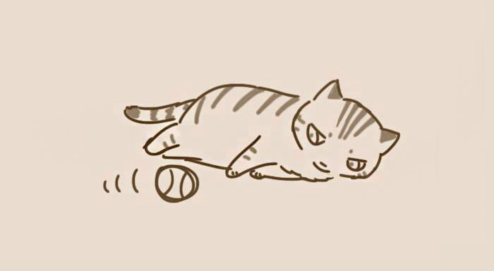 animal-friends-cat-dog-comics-lynal-26