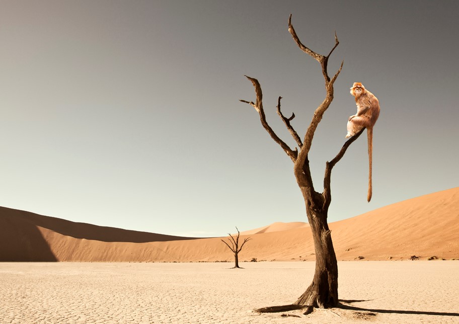 slide_316931_2909379_free-2