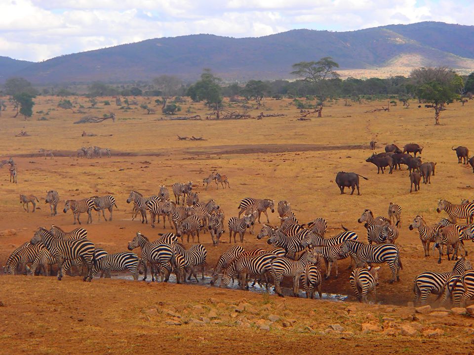 16807245_10154527887123635_2930384477454666120_n