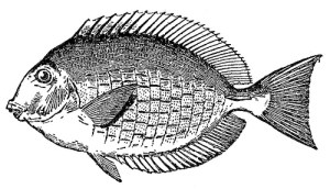 3388862563_a21da7026f