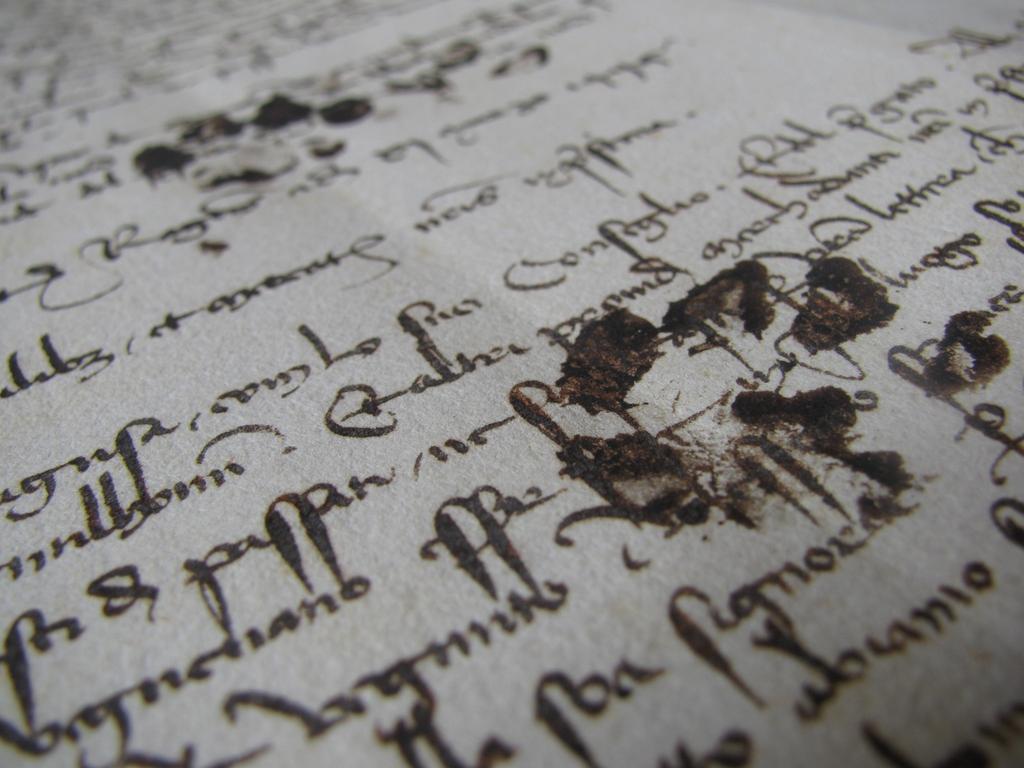 Όπου πατάει η&nbsp;γάτα