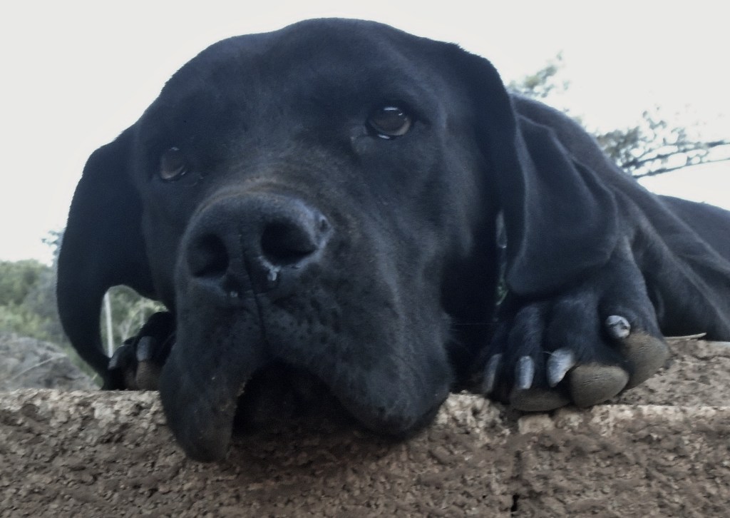 Η Άμπι και ο σπειροειδής χρόνος