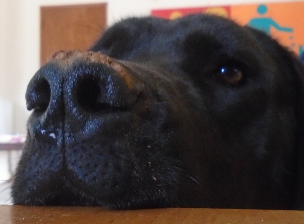 Η Άμπι στον πλανήτη της&nbsp;κυριολεξίας