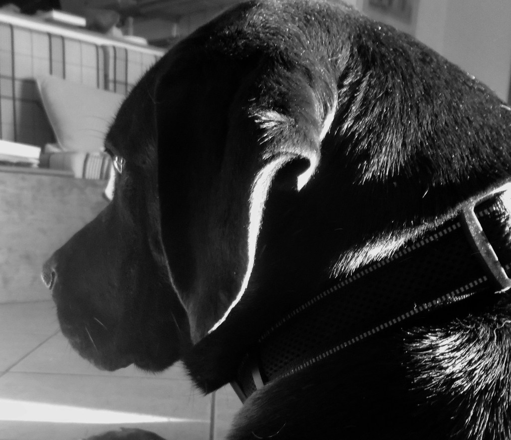 Η Άμπι, το ταξίδι και ο&nbsp;νους