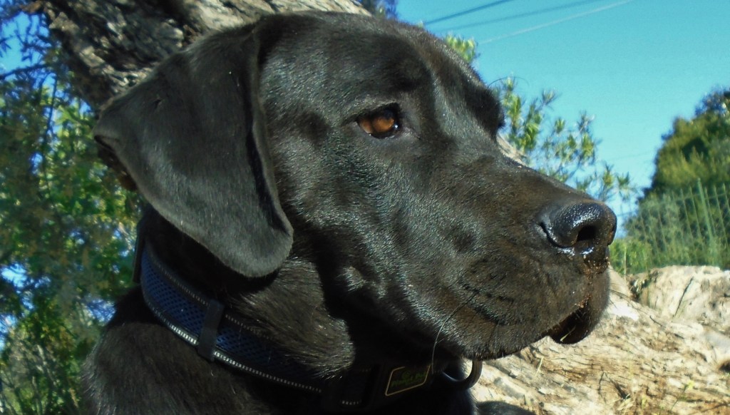 Η Άμπι και τα&nbsp;δάνεια