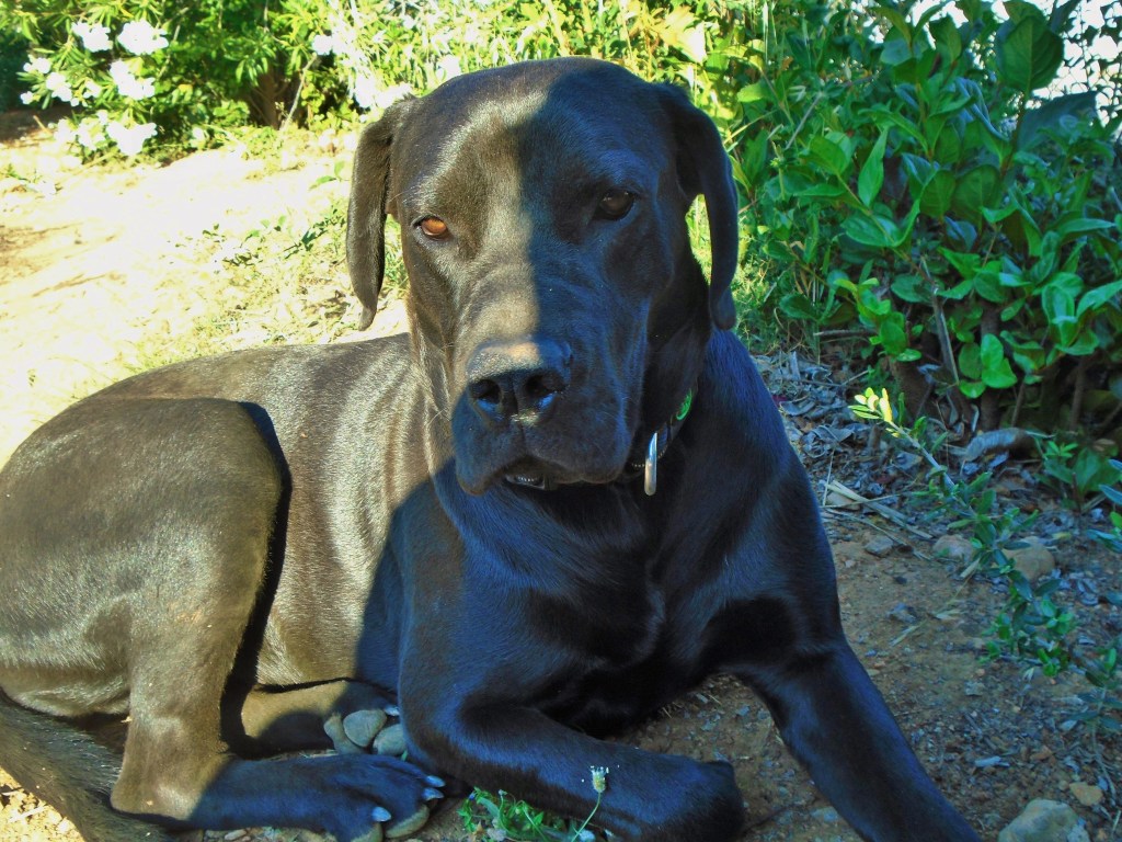 Η Άμπι φωτογραφίζεται