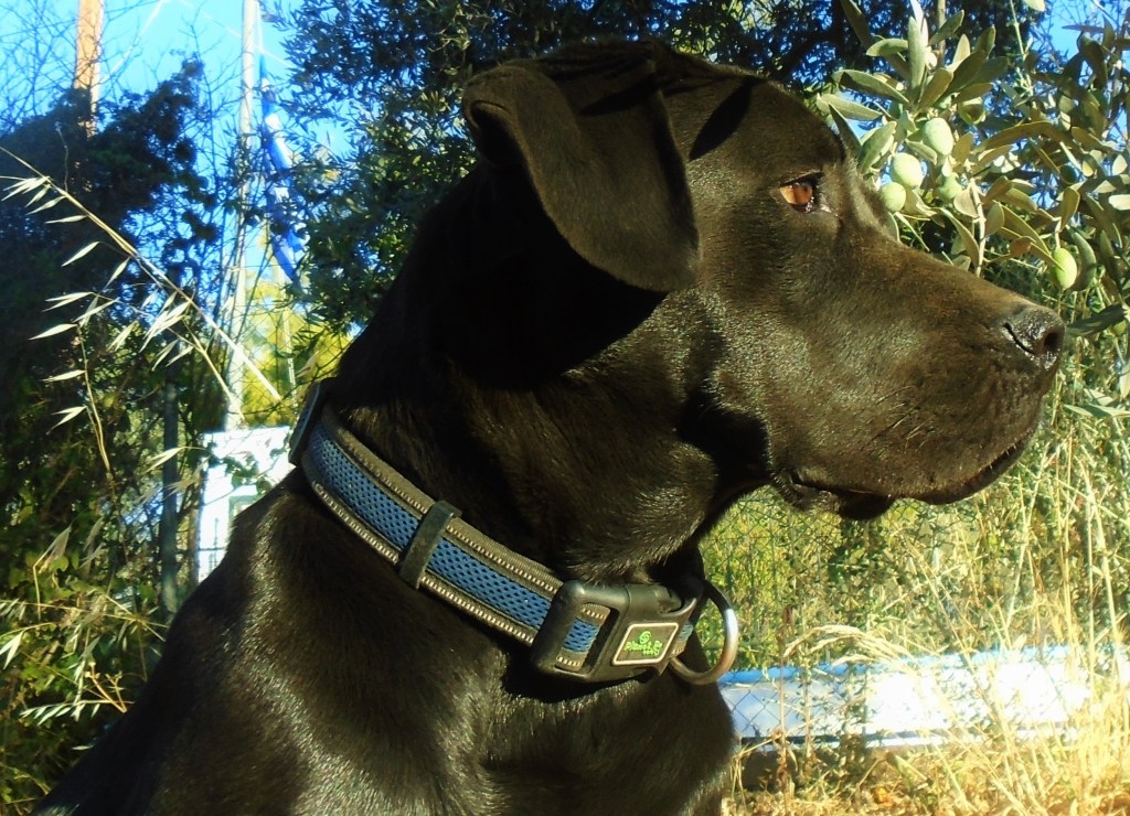 Η Άμπι και η&nbsp;αμφιβολία