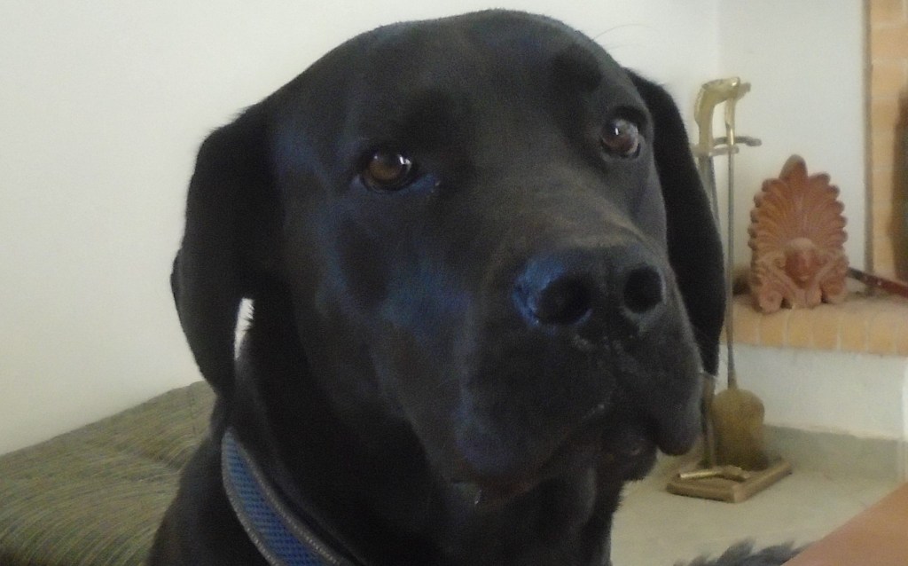 Η Άμπι και η&nbsp;εξουσία