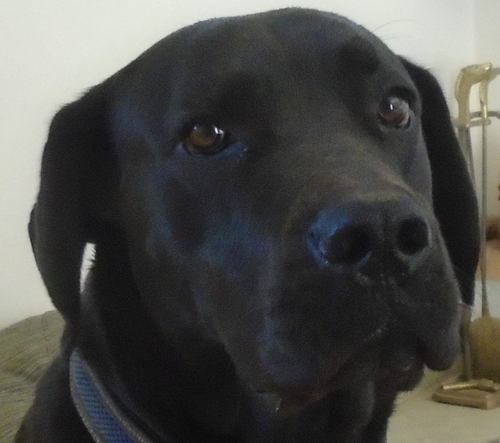 Η Άμπι και το&nbsp;Φθινόπωρο