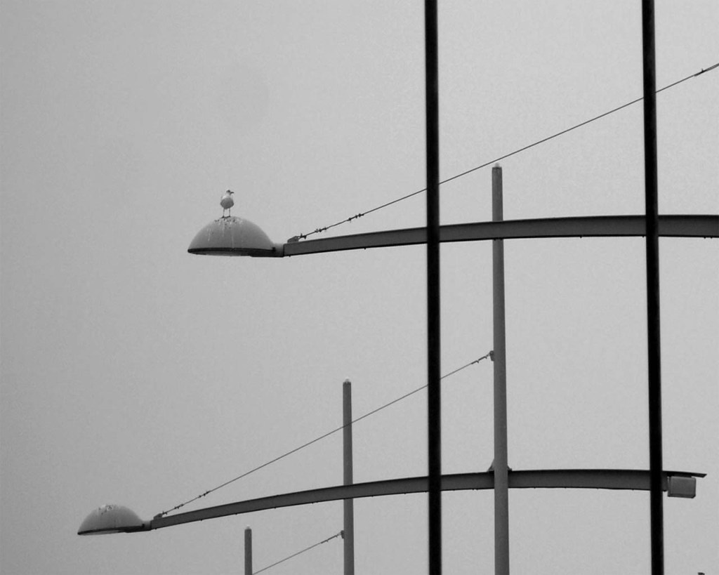 Αμίλητοι κι ευθυτενείς