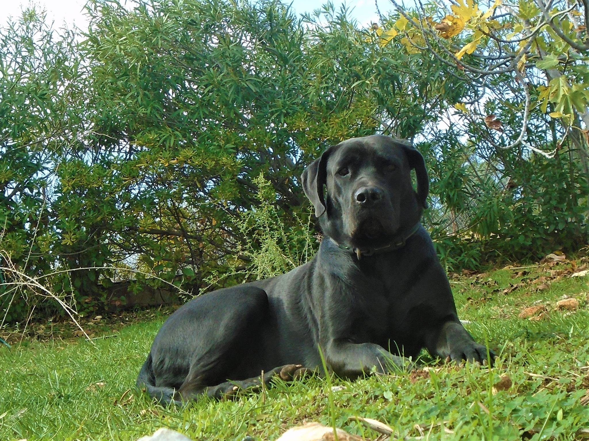 24463323_766926526824559_1635535676_o