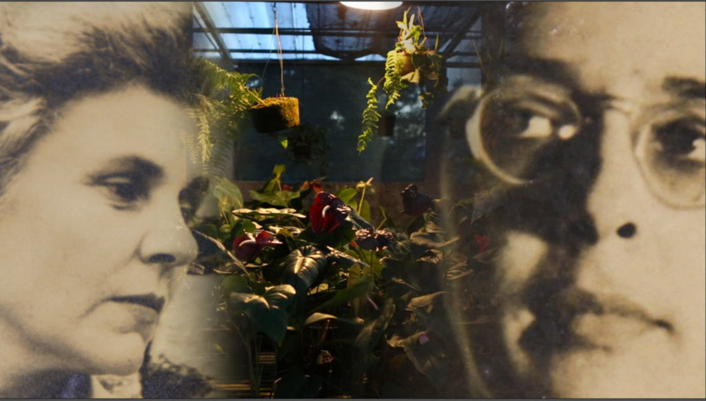 zoom_1428414184_122186@2x-1024x582