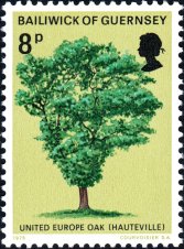 United-Europe-Oak-Hautville