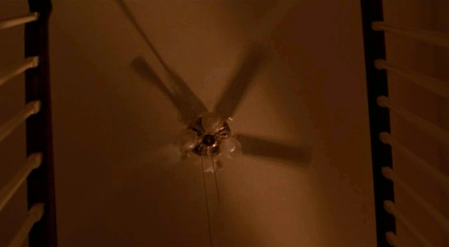 Το όστρακο του&nbsp;σκύλου